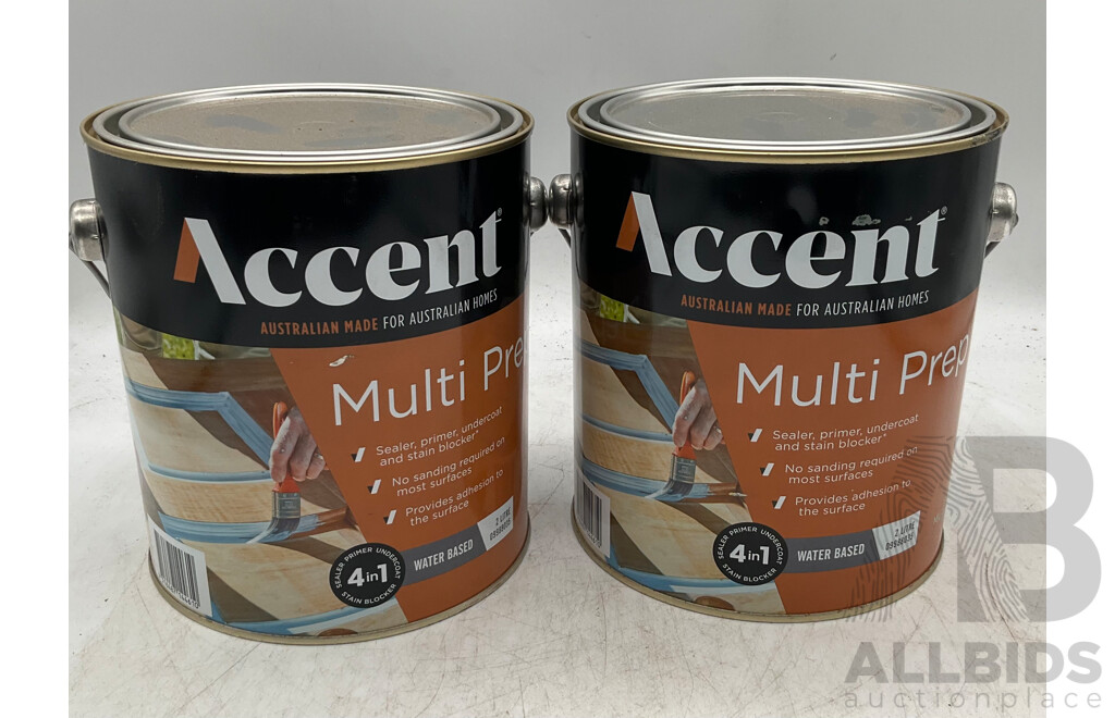 ACCENT Multi Prep Water Based 2L - Lot of 2