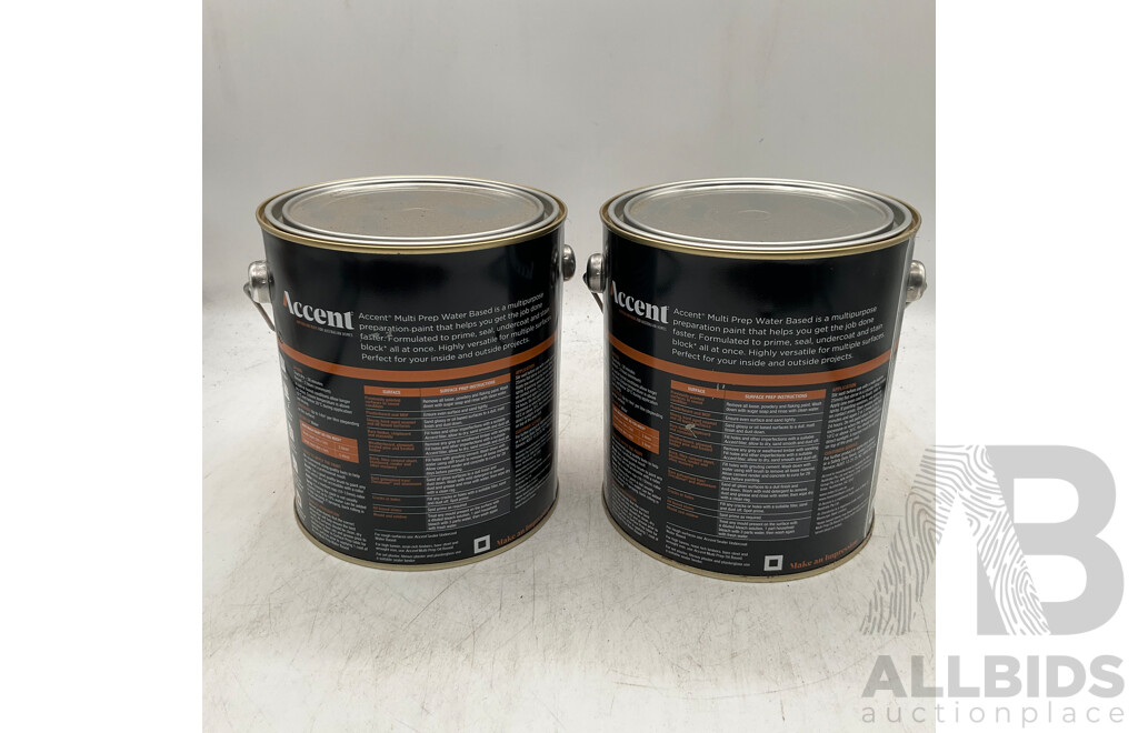 ACCENT Multi Prep Water Based 2L - Lot of 2