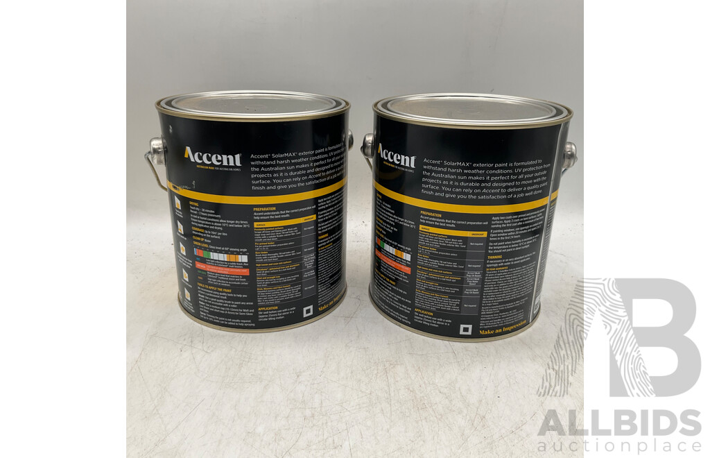 ACCENT SolarMAX Low Sheen Deep 2L - Lot of 2