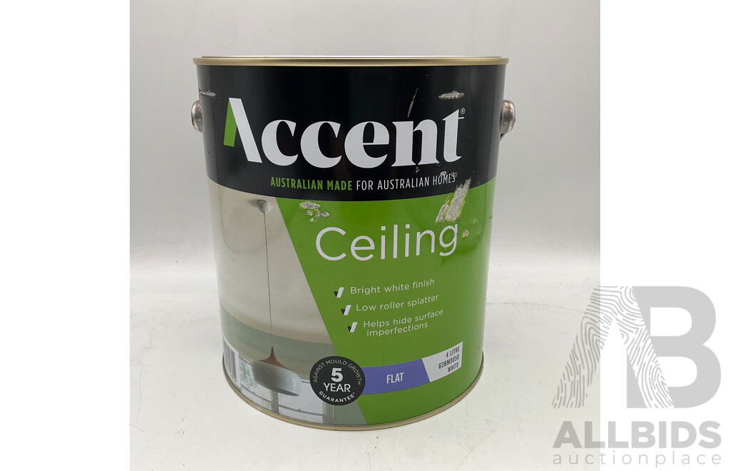 ACCENT Ceiling Flat White 4L