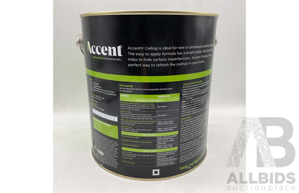 ACCENT Ceiling Flat White 4L