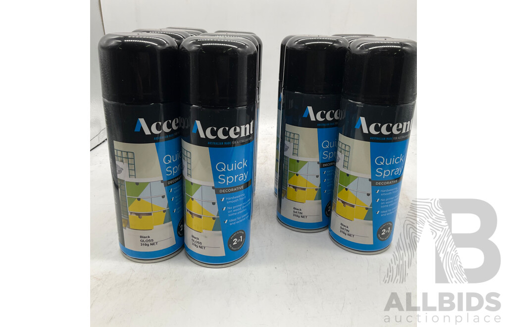 ACCENT Quick Spray Black Gloss/Black Satin - Lot of 13