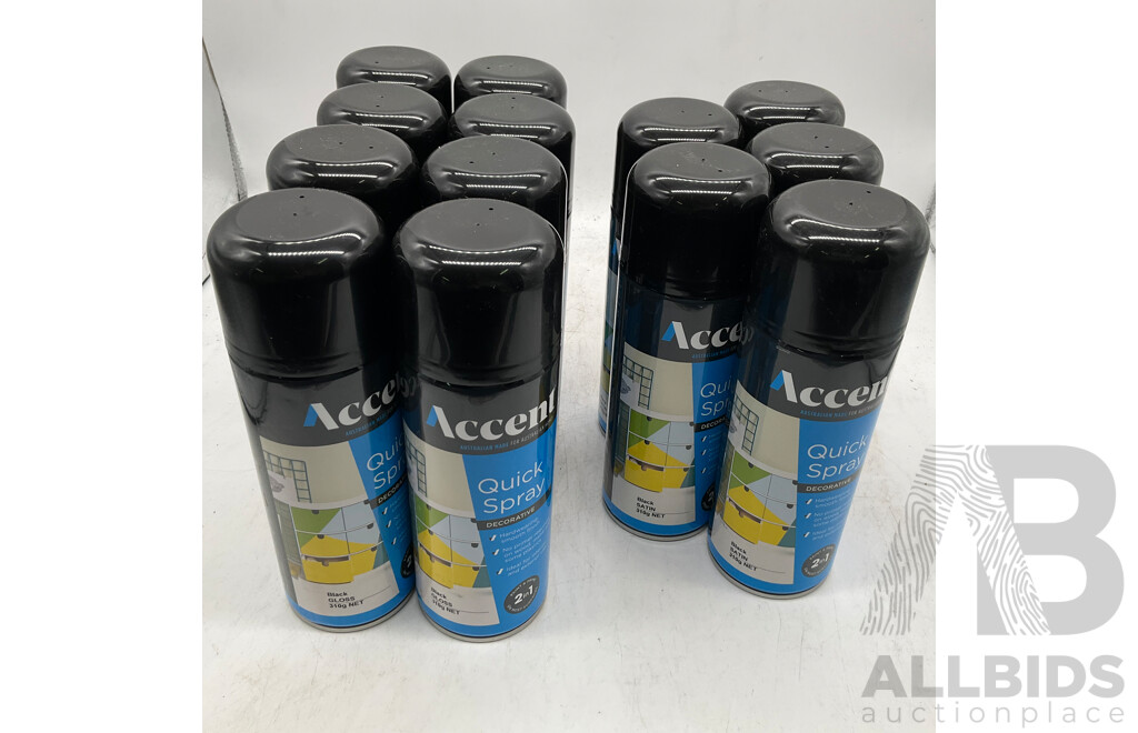 ACCENT Quick Spray Black Gloss/Black Satin - Lot of 13