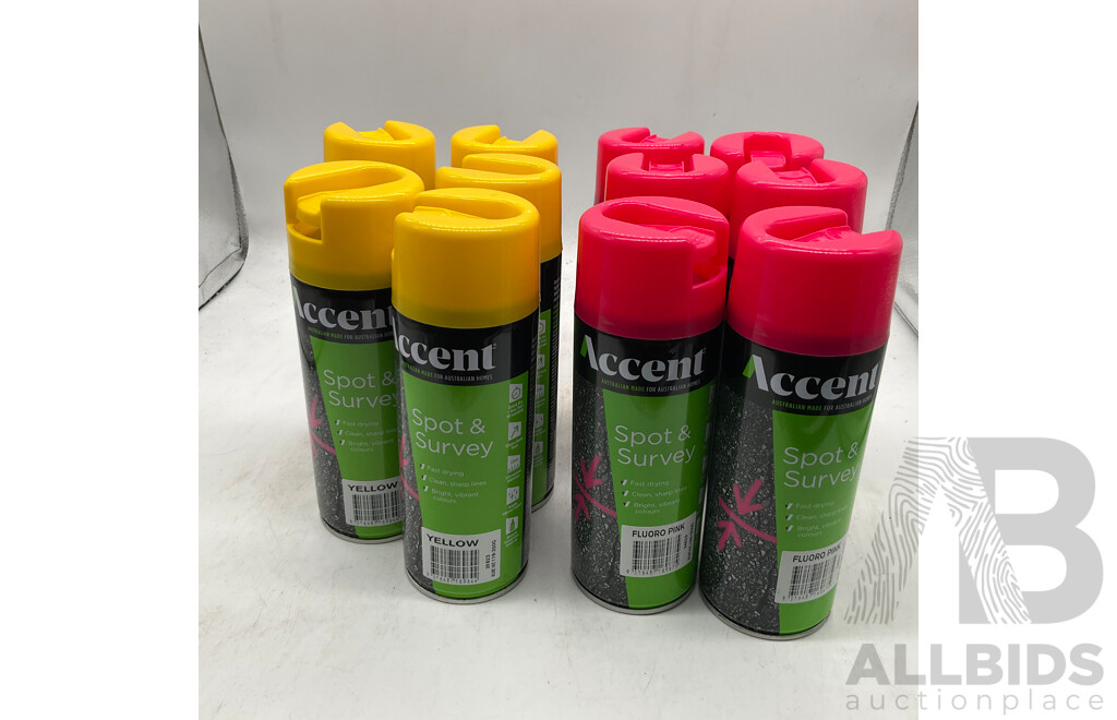 ACCENT Spot & Survey Fluoro Pink/ Yellow - Lot of 11