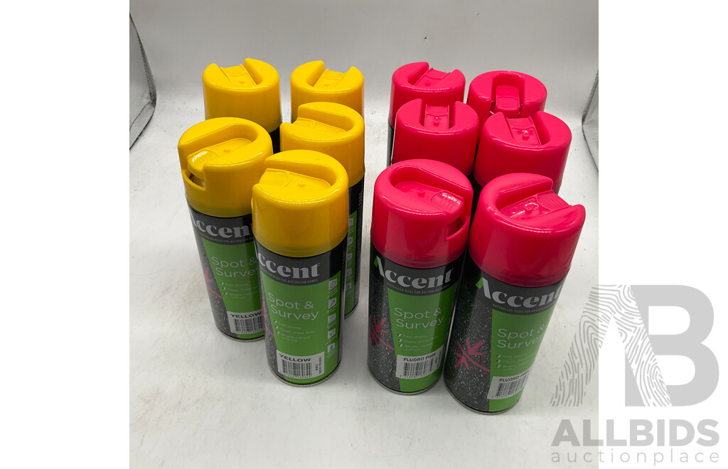 ACCENT Spot & Survey Fluoro Pink/ Yellow - Lot of 11