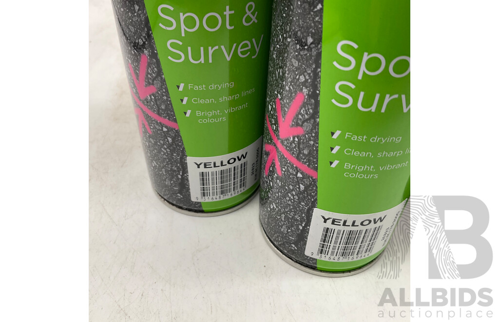 ACCENT Spot & Survey Fluoro Pink/ Yellow - Lot of 11