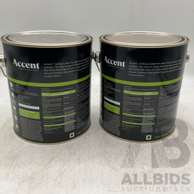 ACCENT Ceiling Flat 2L White - Lot of 2