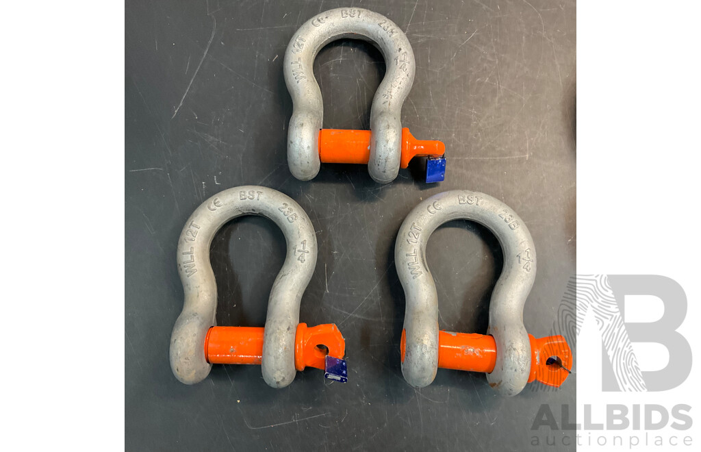 BST 12 Ton X3 & 25T X1 Pin Bow Shackles