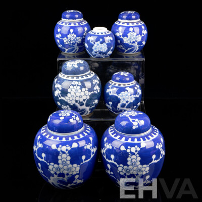 Collection Japanese Blue and White Lidded Ginger Jars with Cherry Blossom Motif