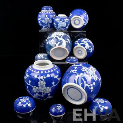 Collection Japanese Blue and White Lidded Ginger Jars with Cherry Blossom Motif