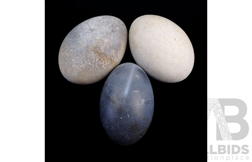 Collection Three Hollow Blown Emu Eggs