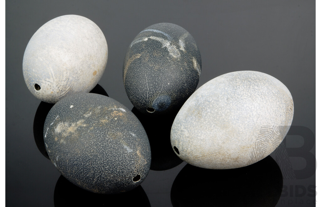 Collection Four Hollow Blown Emu Eggs