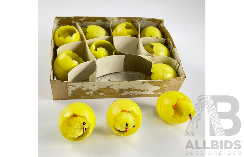 Box of Vintage Hatching Chicks