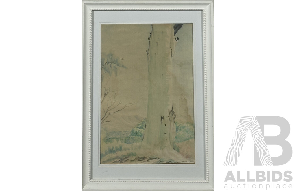 Artist Unknown, Lone Gum Tree, Vintage Watercolour on Card, 50 x 35 cm