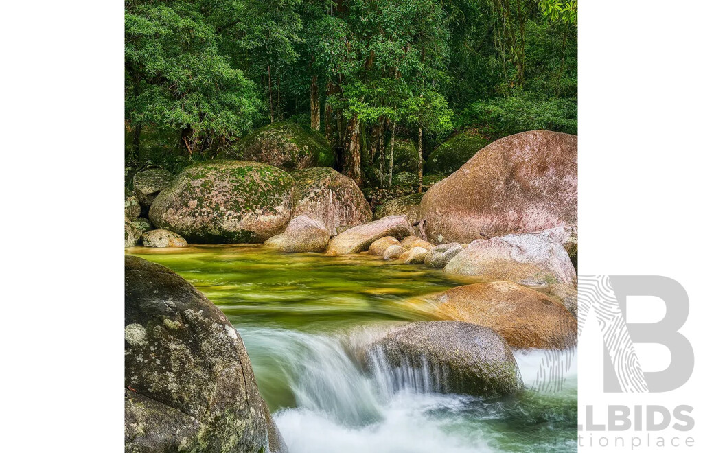 Rainforest Rocks - Artwork by Scott Leggo