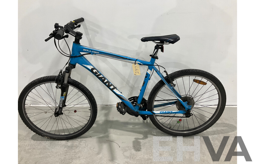 Giant Boulder Mountain Bike (Size L)