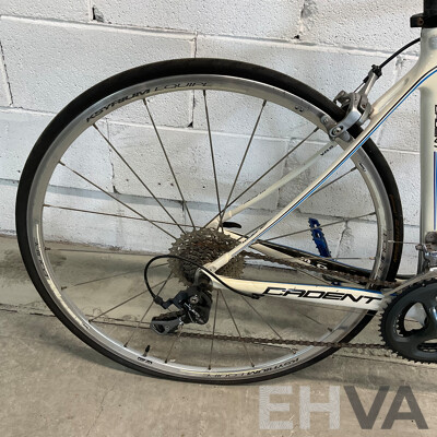 Avanti Cadent Bike (Size M)