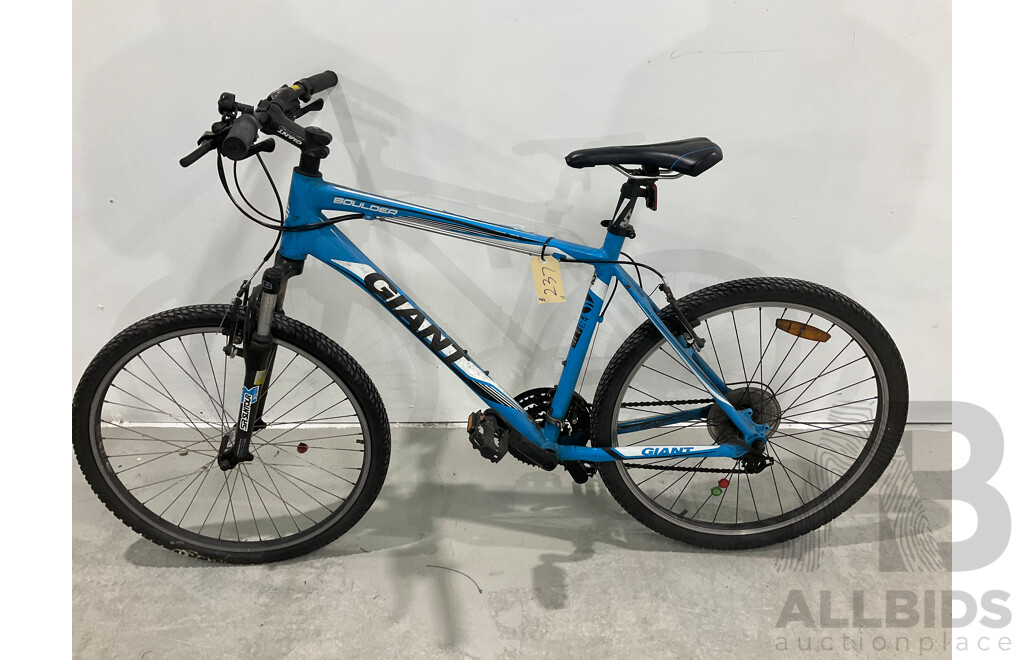 Giant Boulder Mountain Bike (Size L)