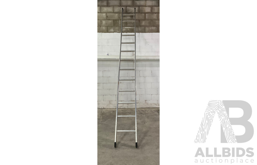 Industrial Ladder 4.2M