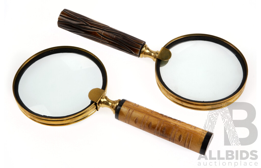 Two Magnifying Glasses with Faux Horn Handles