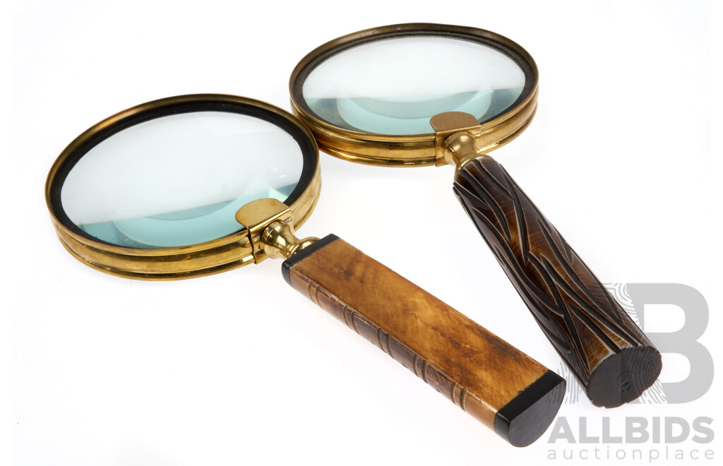 Two Magnifying Glasses with Faux Horn Handles