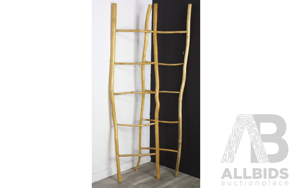 Pair of Rustic Five Rung Ladders