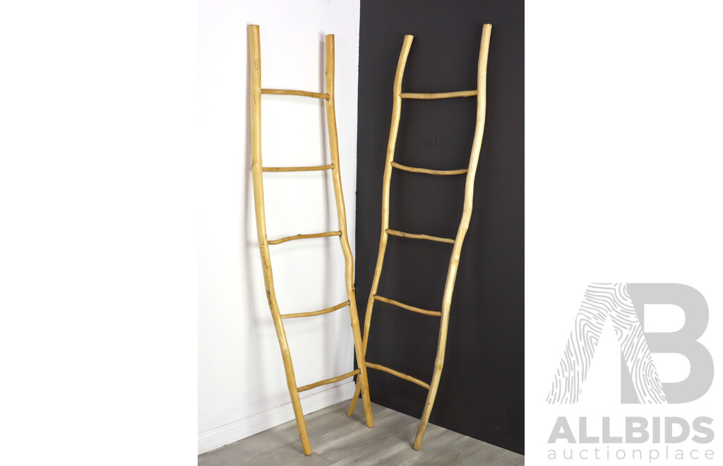 Pair of Rustic Five Rung Ladders