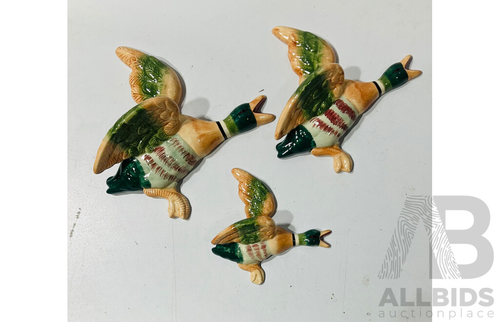 Collection of Graduating Ceramic Duck Wall Hangers
