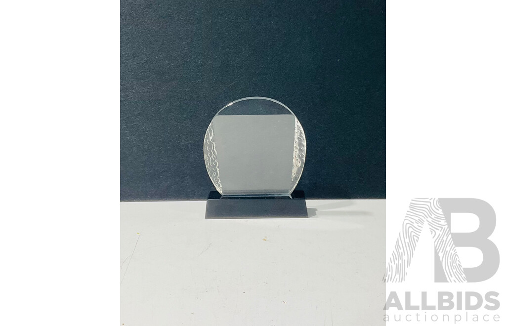 Blank Glass Award