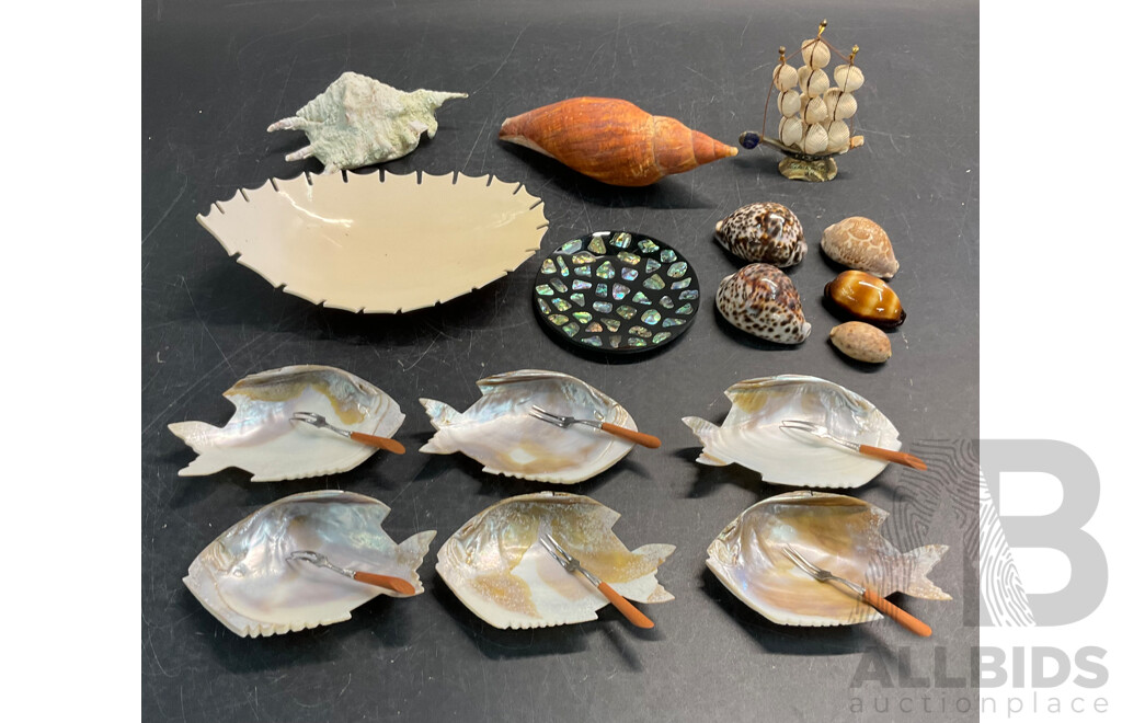 Collectable Sea Shells /Decoration/ Plates with Forks - Lot of 16