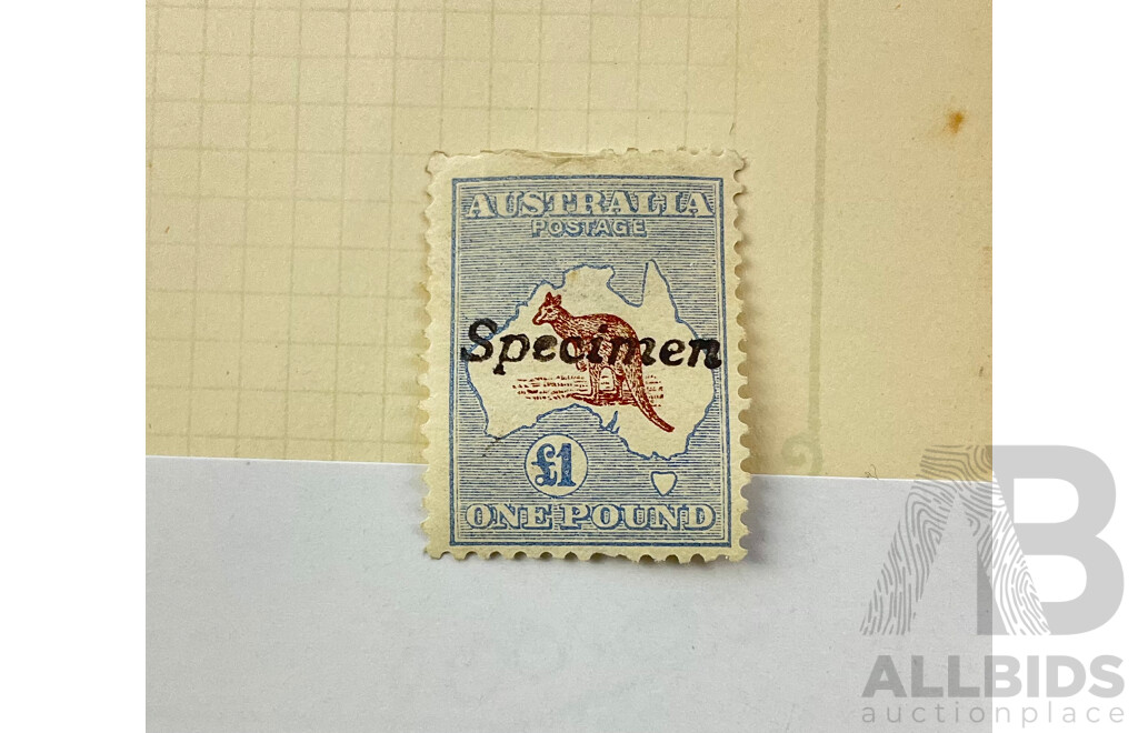 Australian Predecimal Hinged Kangaroo Stamp, One Pound Specimen