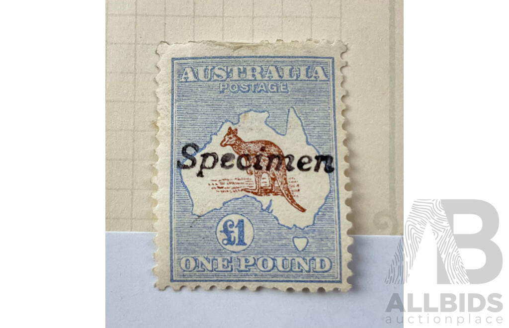 Australian Predecimal Hinged Kangaroo Stamp, One Pound Specimen