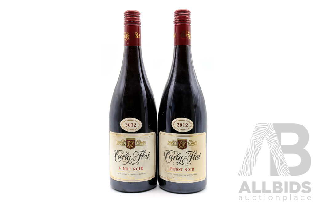 Curly Flat Pinot Noir Vintage 2012 X 2