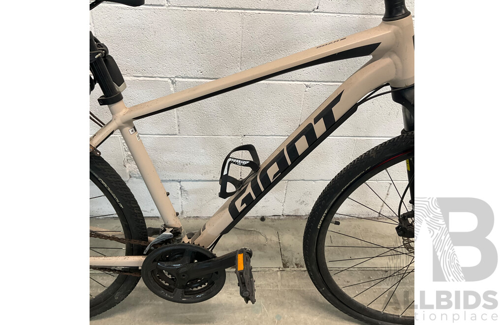 Giant Roam Mountain Bike (Size M)