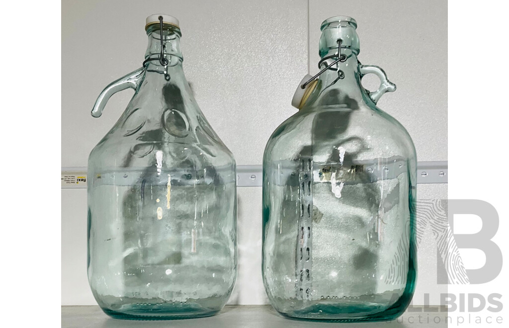 Pair of Large Retro Glass Jugs