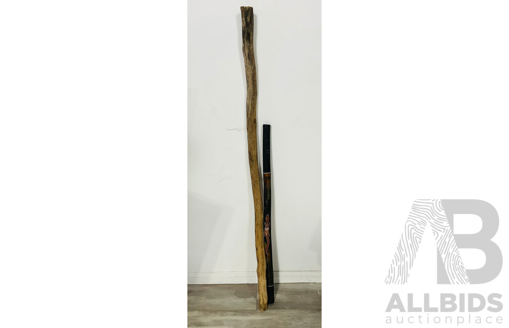 Hand Painted Australian Indigenous Didgeridoo Along with Long Undecorated Example