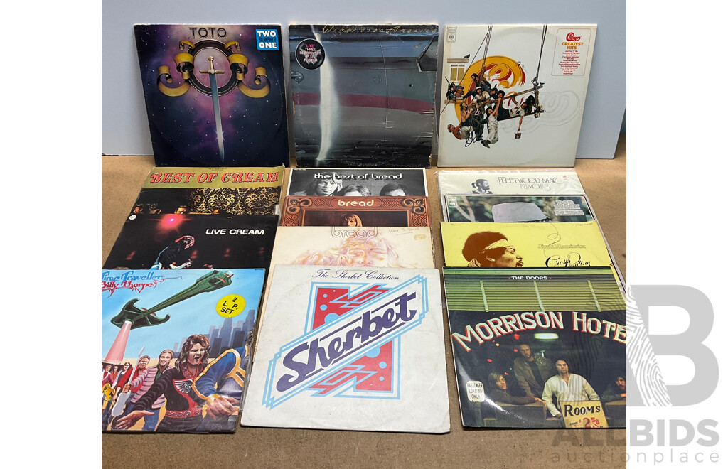 Collection of 14 Vintage Vinyl LP Records - Including Bob Dylan, Jimi Hendrix, the Doors and Much More