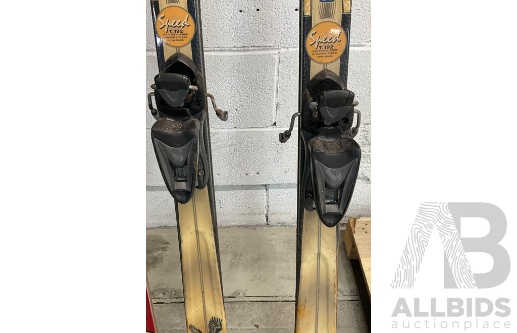 DYNASTAR,ATOMIC Ski Board & SCOTT Ski Poles & Revolutions Ski Boots Attachment