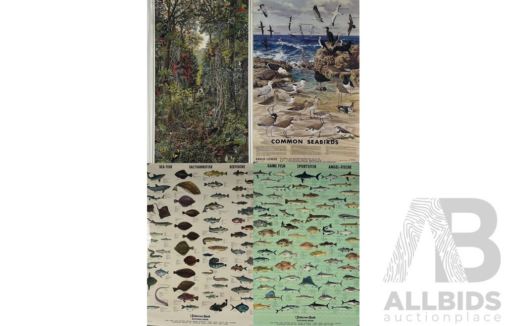 Pair of Danish Posters of Game Fish & Sea Fish; Common Australian Seabirds, & Australian Subtropical Rain Forest Posters, Ink and Paper 124 X 60 Cm (largest) (4)