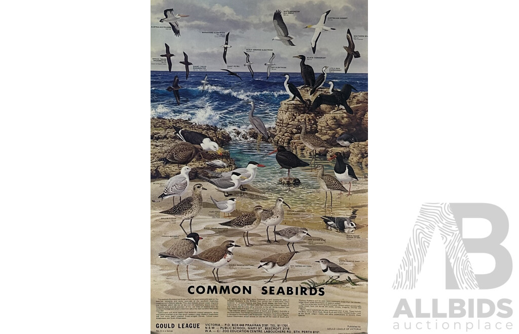 Pair of Danish Posters of Game Fish & Sea Fish; Common Australian Seabirds, & Australian Subtropical Rain Forest Posters, Ink and Paper 124 X 60 Cm (largest) (4)