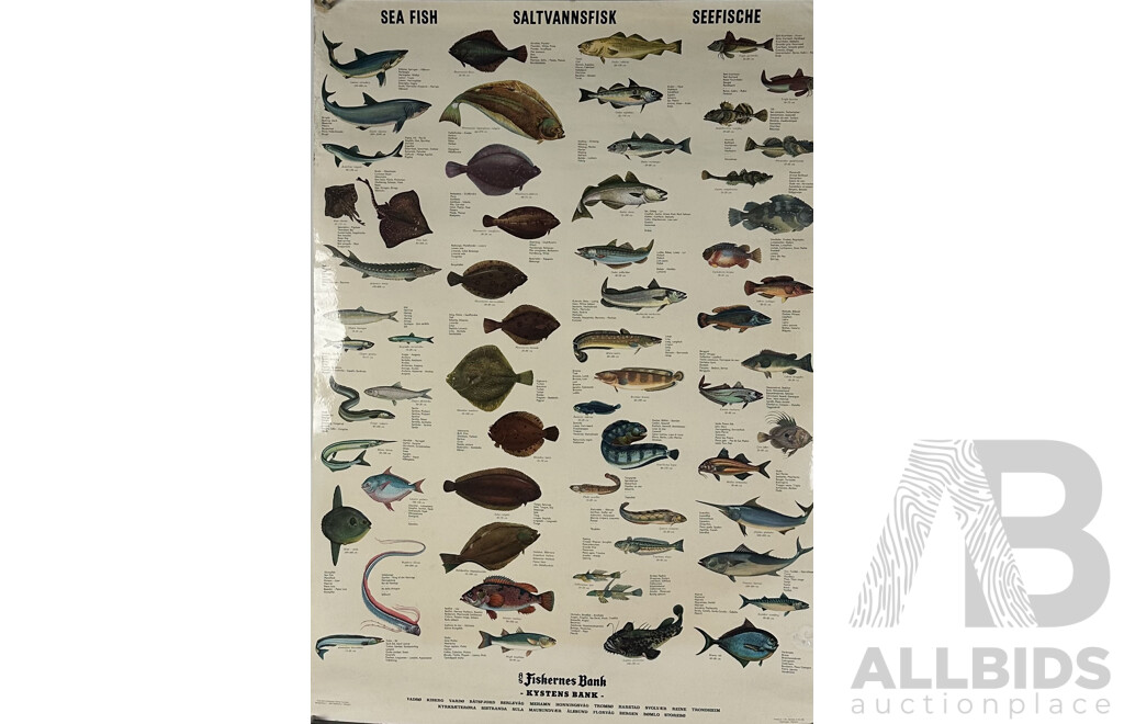 Pair of Danish Posters of Game Fish & Sea Fish; Common Australian Seabirds, & Australian Subtropical Rain Forest Posters, Ink and Paper 124 X 60 Cm (largest) (4)