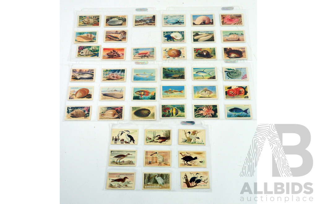 Large Collection of Vintage Trading Cards by Shell Featuring Flora and Auna