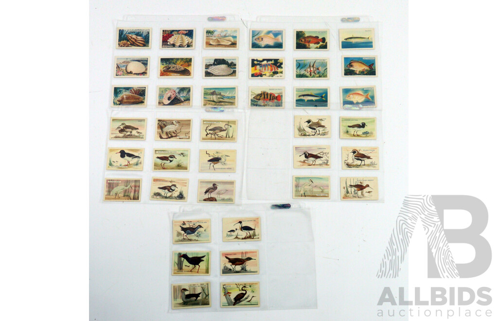 Large Collection of Vintage Trading Cards by Shell Featuring Flora and Auna