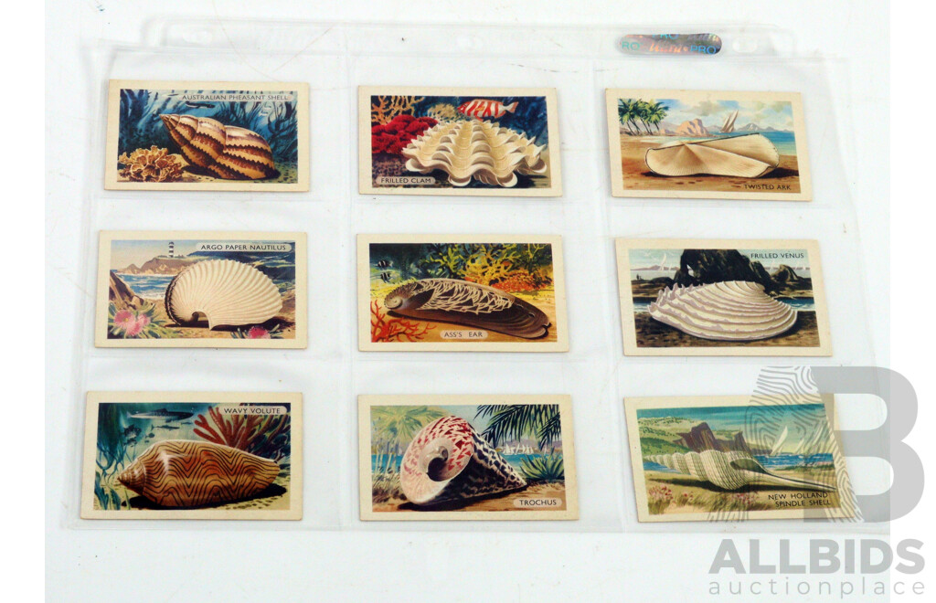 Large Collection of Vintage Trading Cards by Shell Featuring Flora and Auna