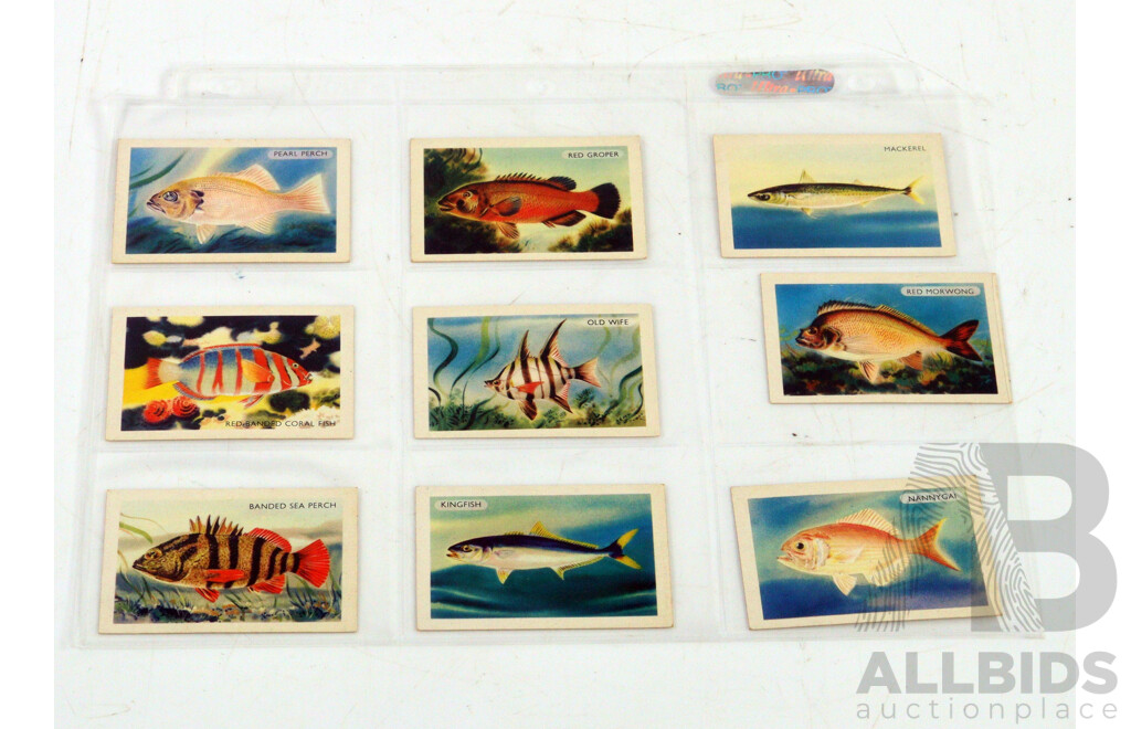 Large Collection of Vintage Trading Cards by Shell Featuring Flora and Auna