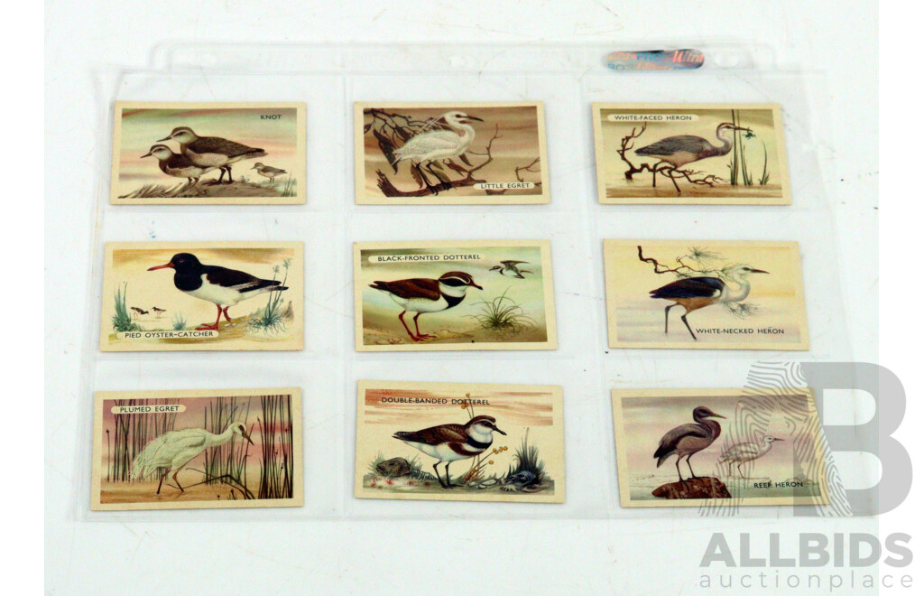 Large Collection of Vintage Trading Cards by Shell Featuring Flora and Auna