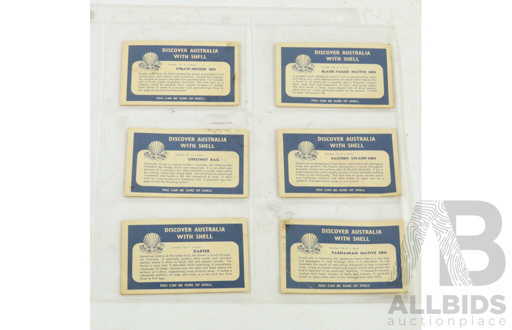 Large Collection of Vintage Trading Cards by Shell Featuring Flora and Auna