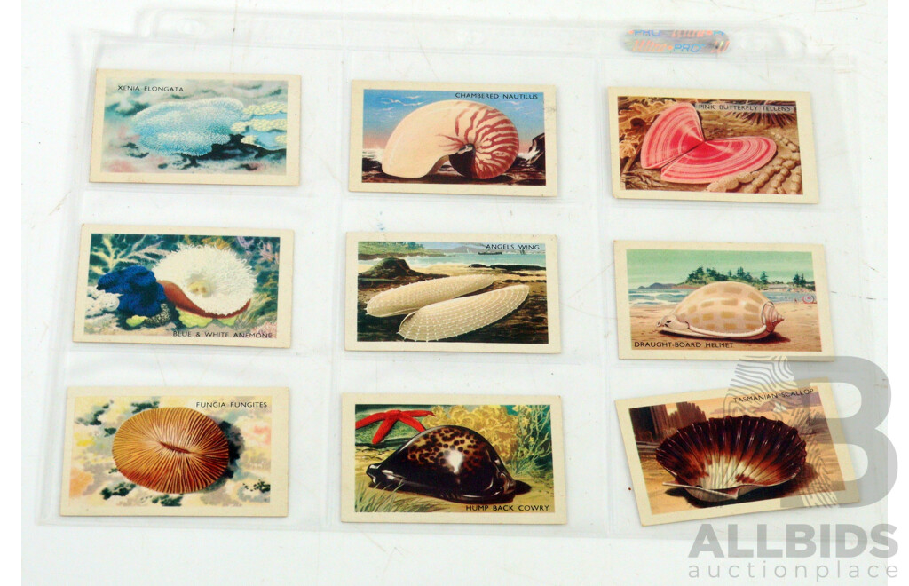 Large Collection of Vintage Trading Cards by Shell Featuring Flora and Auna