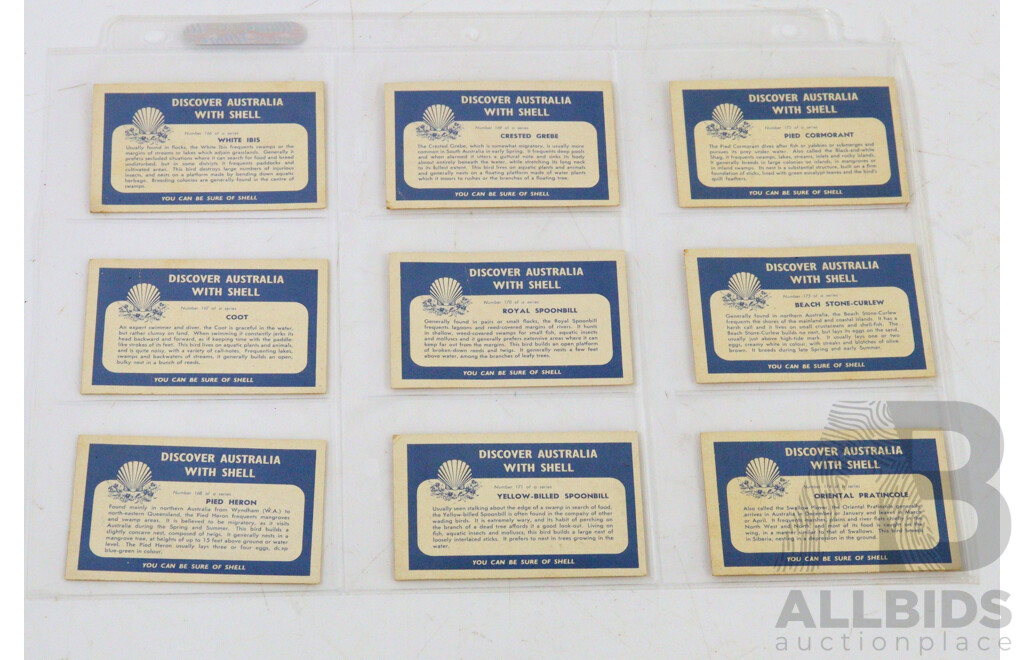 Large Collection of Vintage Trading Cards by Shell Featuring Flora and Auna