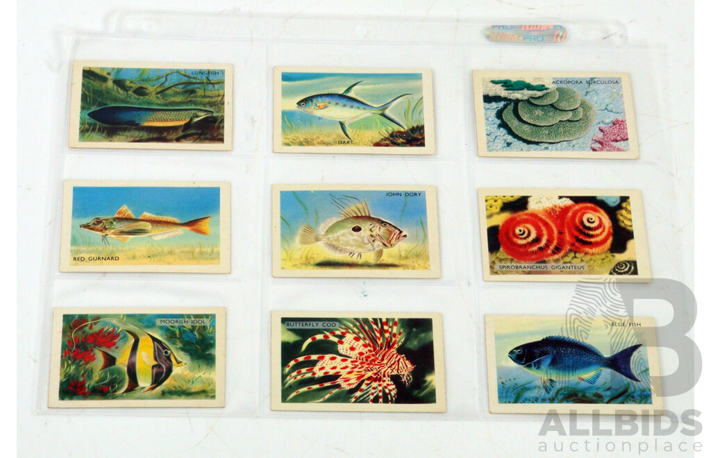 Large Collection of Vintage Trading Cards by Shell Featuring Flora and Auna